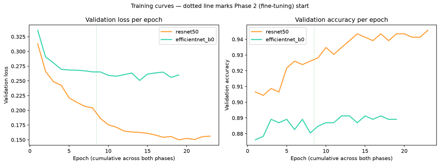 Validation loss and accuracy curves for ResNet50 vs EfficientNet-B0 across both training phases